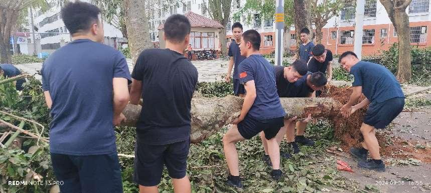 图片5.png 图片5.png