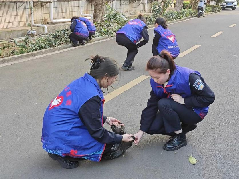 图片11.png 图片11.png