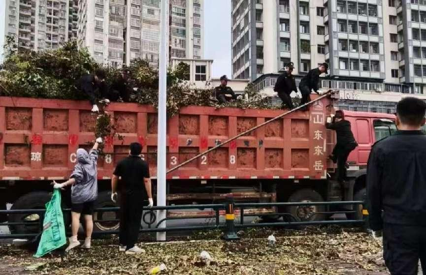 图片14.png 图片14.png