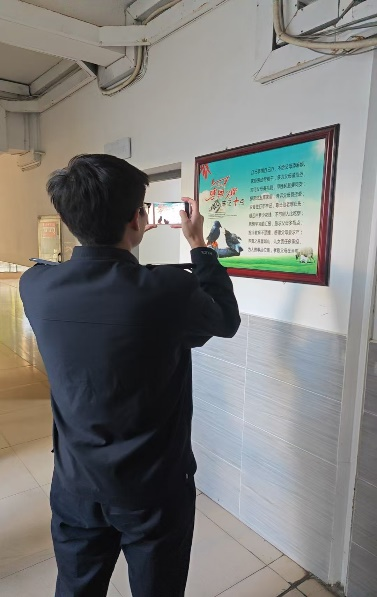 458cbbbbf8cf781c.png 458cbbbbf8cf781c.png