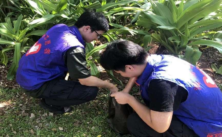 图片8.png 图片8.png